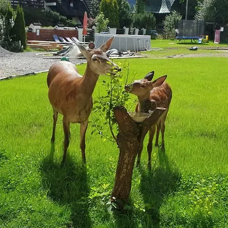 Janulkowe Domek alpejski Zakopane