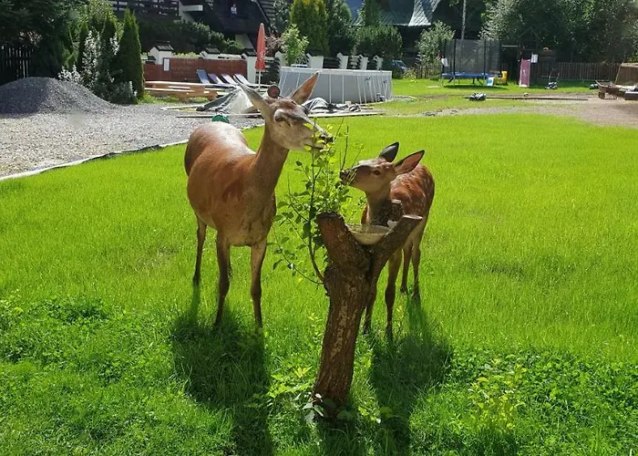 Janulkowe Chalet Zakopane